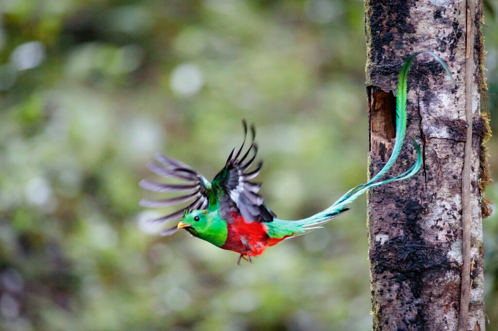 Copper Canyon Mexico Adventure