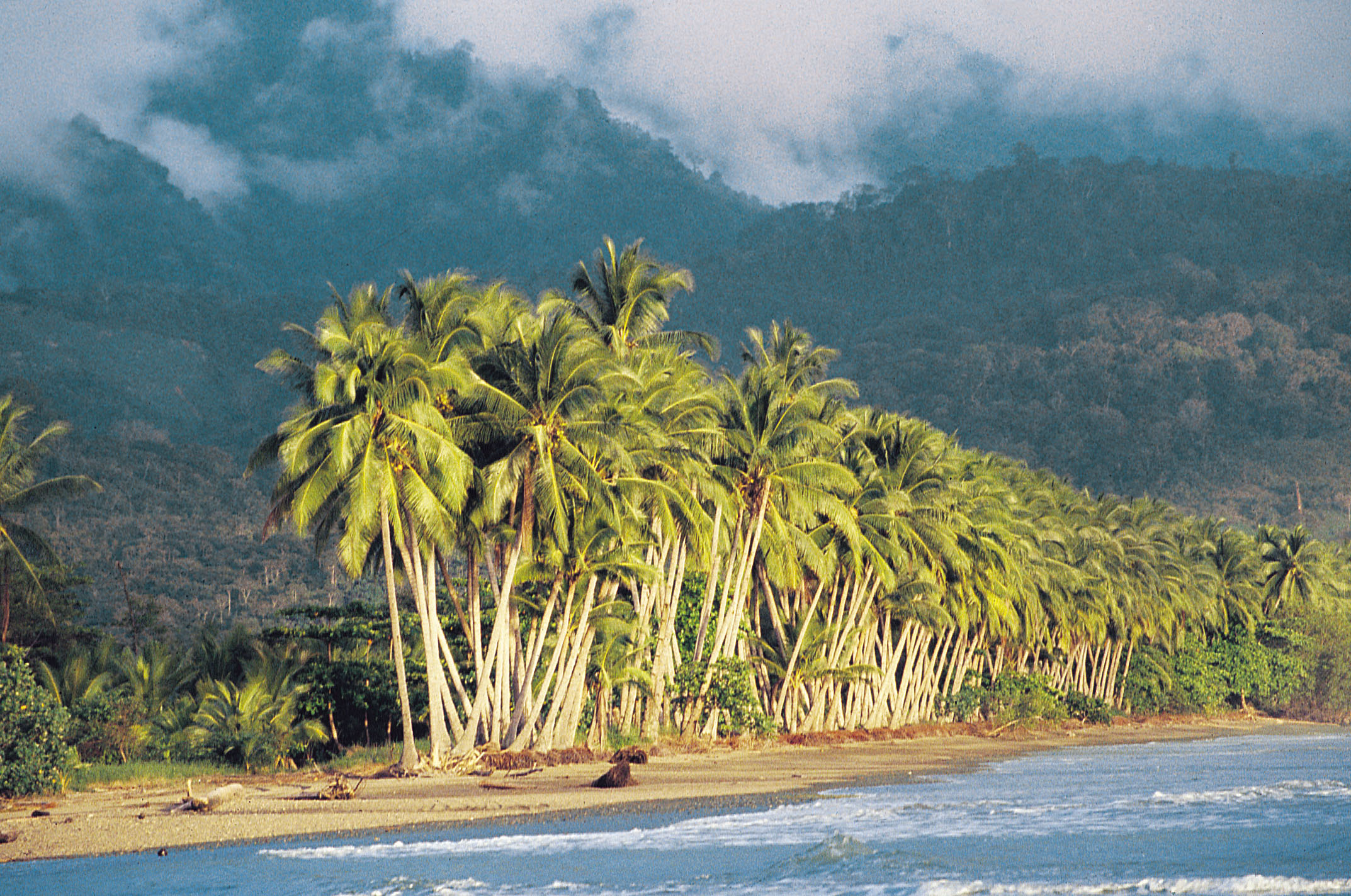 Batopilas Canyon Mexico